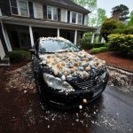 My Neighbor Threw Eggs at My Car Because It Was ‘Blocking the View’ of His Halloween Decorations