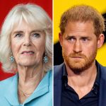 Shocking update about Queen Camilla after Prince Harry’s visit to see his father confirms what we all suspected 😞😣