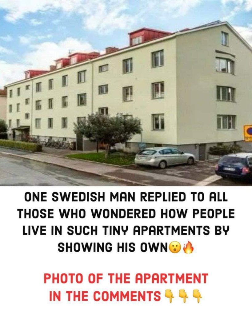 One Swedish man replied to all those who wondered how people live in such tiny apartments by showing his own